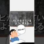 素材にこだわれ！ブライドルレザーについて。#ファッション #財布 #レザークラフト