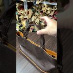 【レザークラフト】#shorts　生徒さんの作品　#142　レザークラフト教室　浜松　leather works itten　手縫い #ショート #財布 #かばん